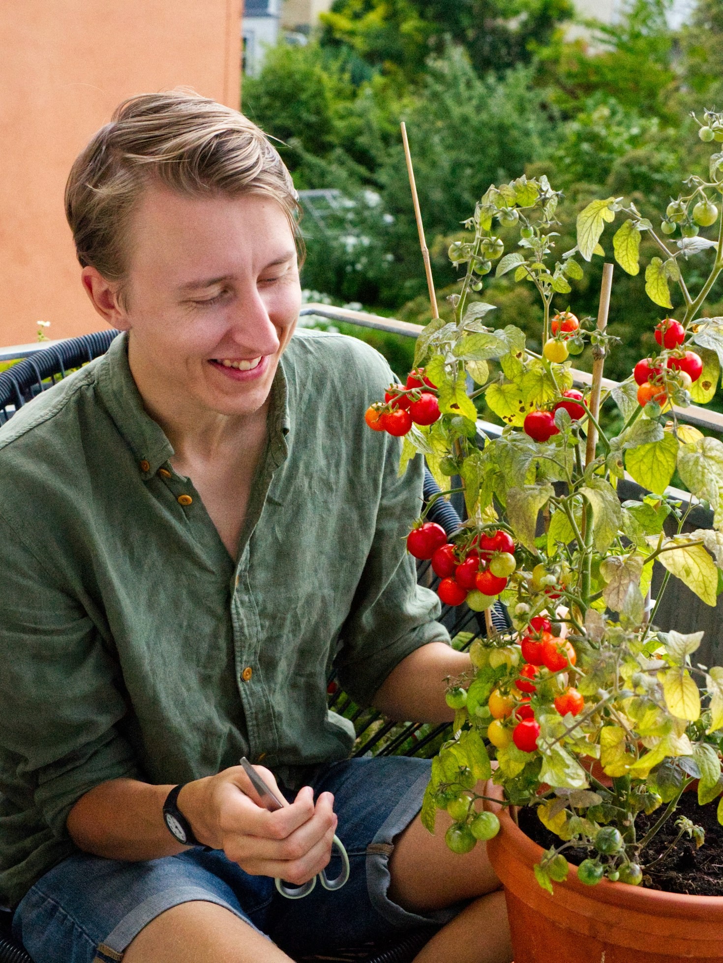 Top Ten Vegetables For Small Balconies