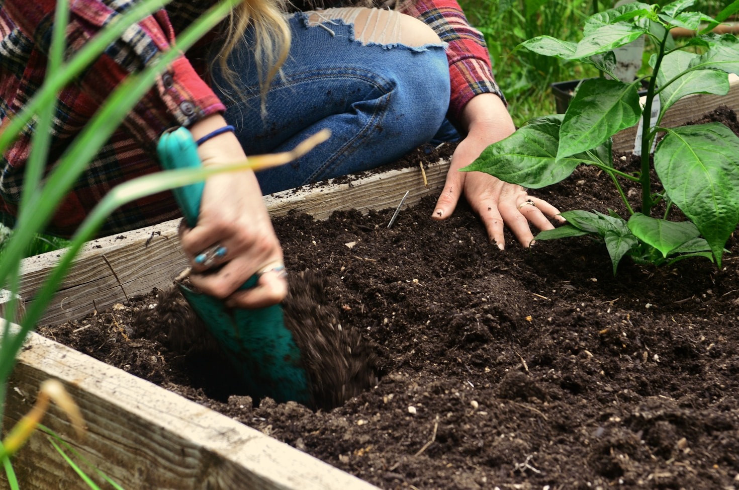 Preserving Your Summer Harvest For Winter